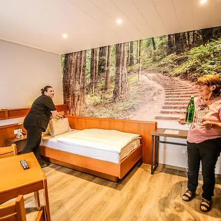 Landhotel Am Wenzelbach 3* Pruem