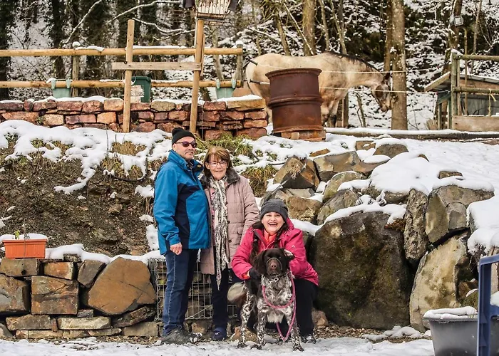 מלון Am Wenzelbach 3*